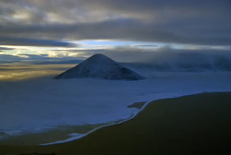 Wrangel Island Cruise Port Guide: Arctic Expedition & What to Expect