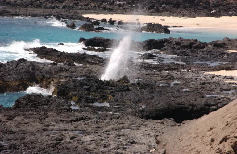 Ascension Island Cruise Port Guide: Things to Do & Practical Tips