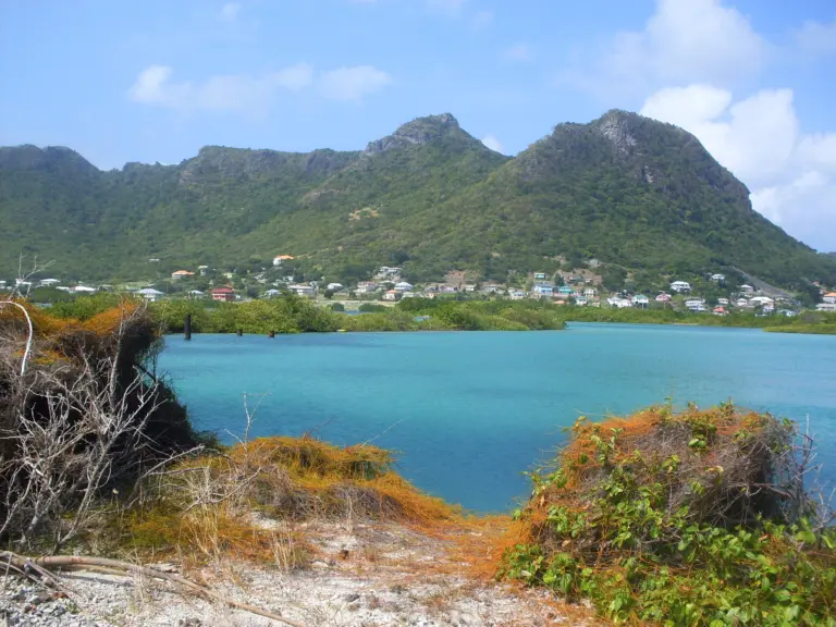 Union Island Cruise Port Guide: Things to Do & Practical Tips