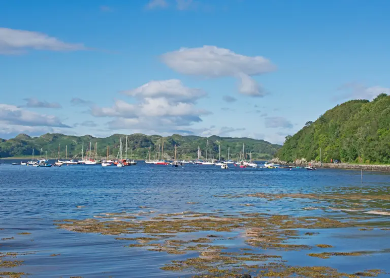 Crinan Cruise Port Guide: Walkability, Local Tips & What to Do