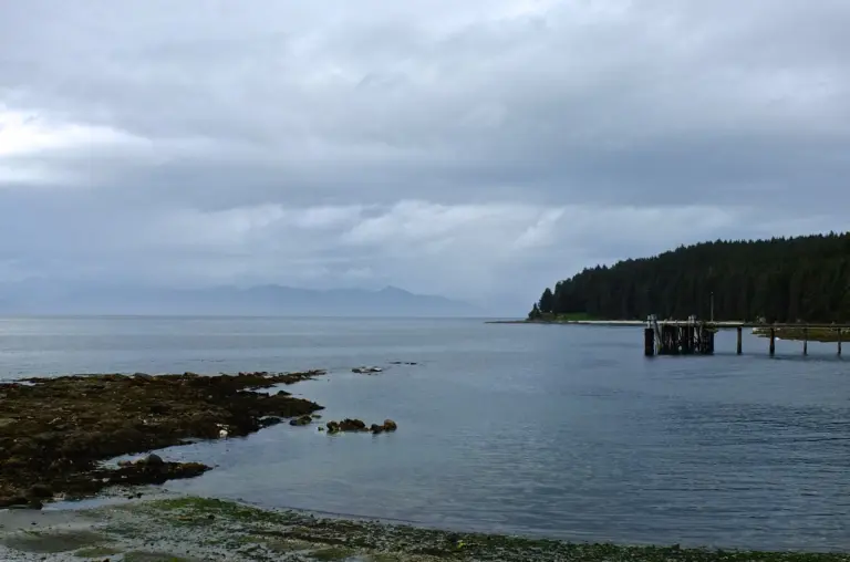 Admiralty Island Cruise Port Guide: Tender Tips, Things to Do & What to Expect
