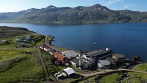 Djupavik Cruise Port Guide: Things to Do & Practical Tips