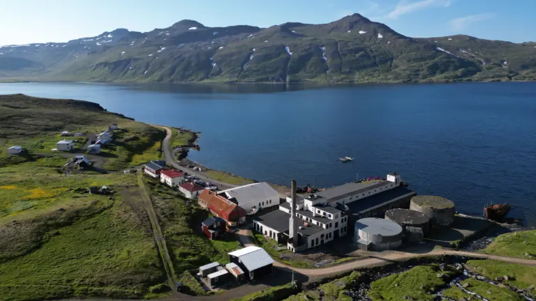 Djupavik Cruise Port Guide: Things to Do & Practical Tips