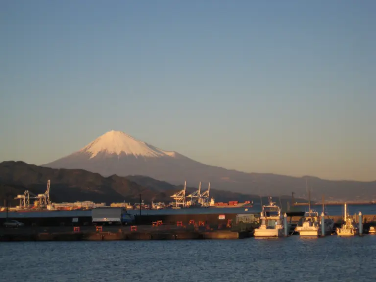 Shimizu Cruise Port Guide: Things to Do, Mt. Fuji Day Trips & Practical Tips