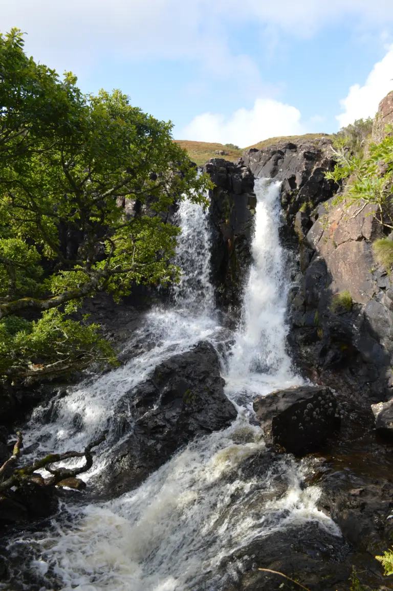 Isle of Mull Cruise Port Guide: Things to Do, Getting Around & Local Tips