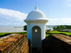 Macapá Cruise Port Guide: Amazon River & Wildlife Viewing Tips