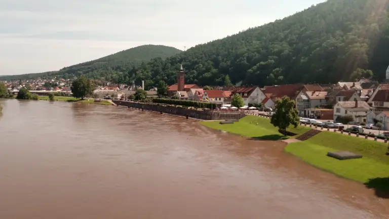 Freudenberg am Main Cruise Port Guide: Things to Do & Practical Tips