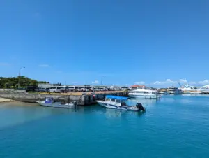 Ishigaki Cruise Port Guide: Things to Do & Practical Tips