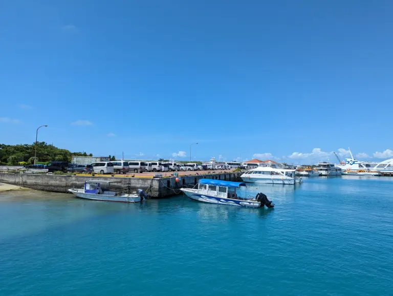 Ishigaki Cruise Port Guide: Things to Do & Practical Tips