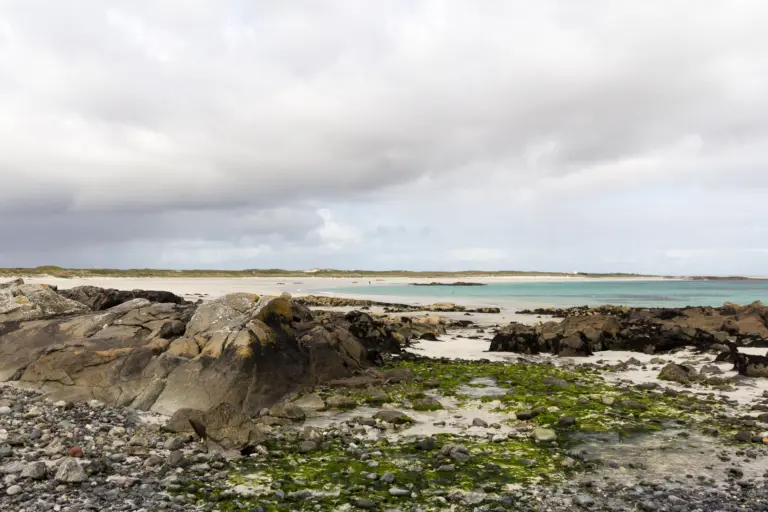 Isle of Tiree Cruise Port Guide: Things to Do, Walkability & Local Tips