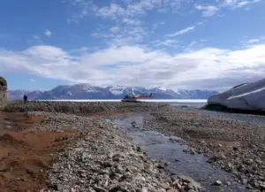 Bylot Island Cruise Port Guide: Things to Do, Walkability & Expedition Tips