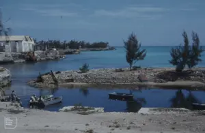 Inagua Island Cruise Port Guide: Beaches, Things to Do & Getting Around