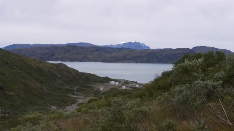 Narsarsuaq Cruise Port Guide: What to Expect, Logistics & Tips