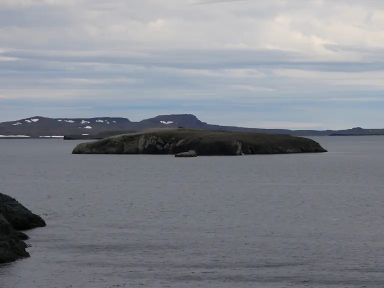 Novaya Zemlya Cruise Port Guide: What to Expect & Planning Tips