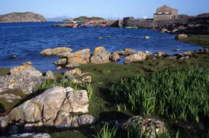 Isle of Coll Cruise Port Guide: Walkability, Local Pubs & What to Expect