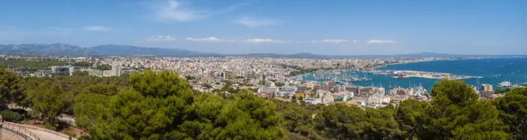 Palma de Mallorca Cruise Port Guide: Things to Do, Beaches & Practical Tips