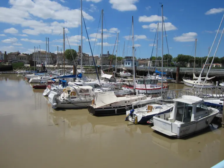 Pauillac Cruise Port Guide: Things to Do, Wine Tours & Practical Tips