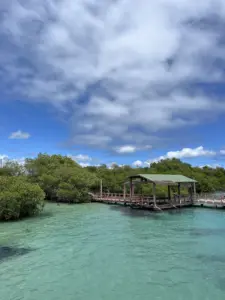 Isabela Island Cruise Port Guide: Things to Do & Practical Tips