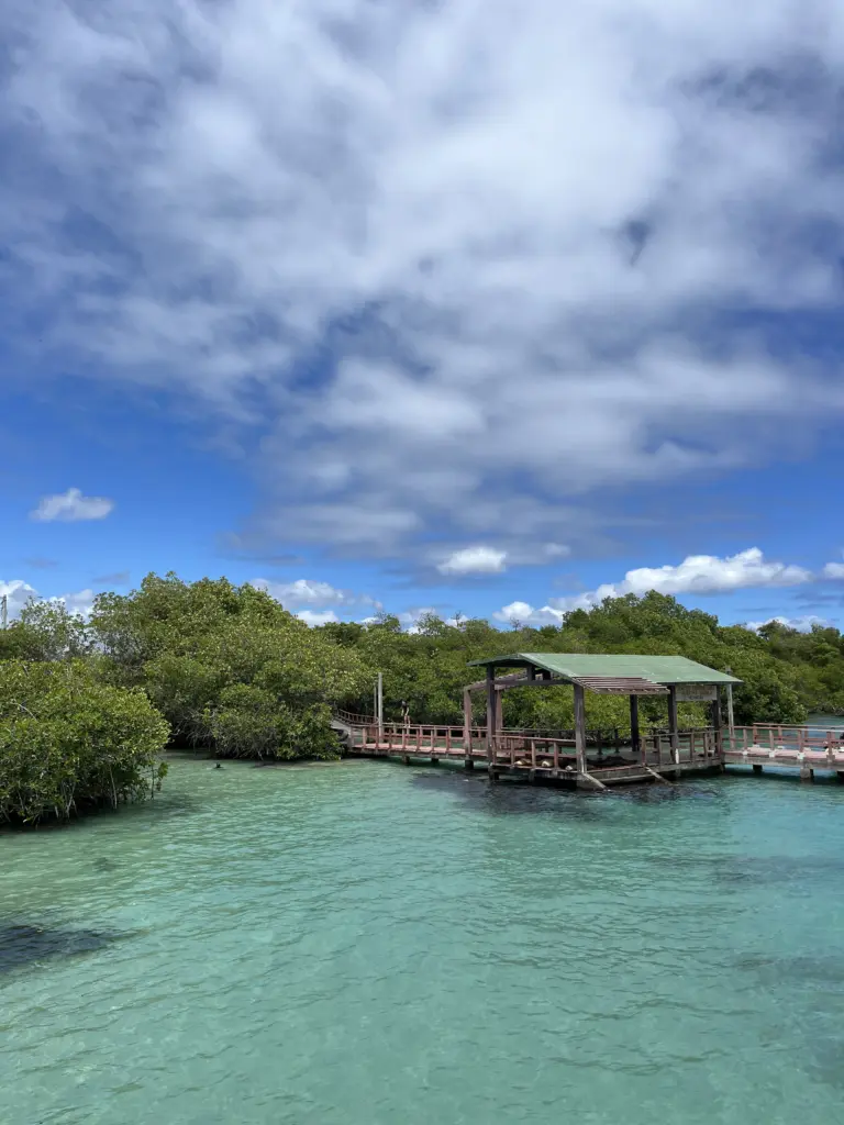 Isabela Island Cruise Port Guide: Things to Do & Practical Tips