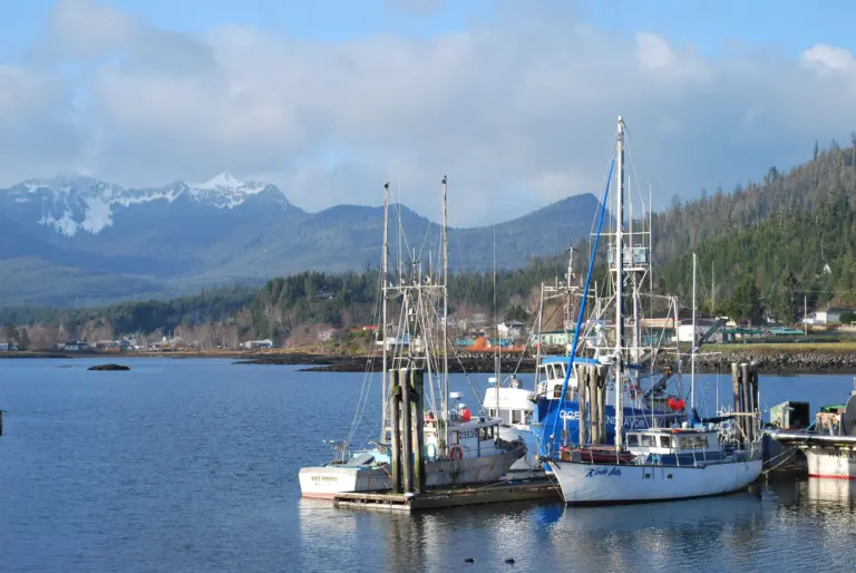 Haida Gwaii Islands Cruise Port Guide: Things to Do, Walkability & Local Tips