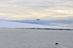 Severnaya Zemlya Cruise Port Guide: Arctic Expedition & Wildlife