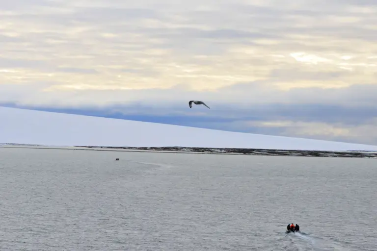 Severnaya Zemlya Cruise Port Guide: Arctic Expedition & Wildlife