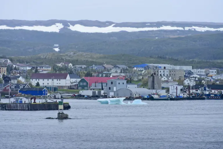 St. Anthony Cruise Port Guide: Icebergs, Whales & Things to Do