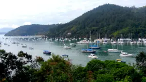 Ubatuba Cruise Port Guide: Things to Do & Practical Tips