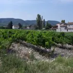 Châteauneuf-du-Rhône