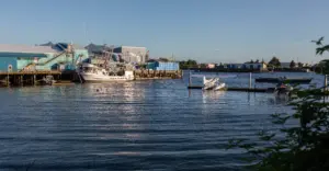 Sitka Cruise Port Guide: Tender Tips, Things to Do & What to Expect
