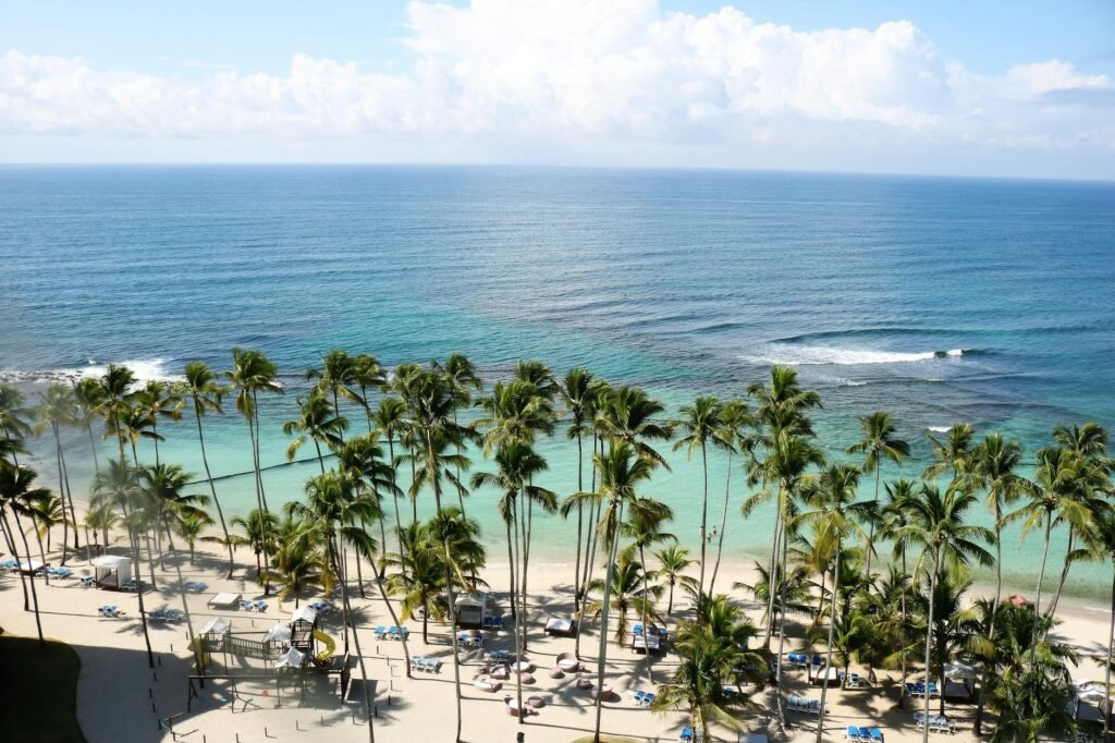 Aerial view of a tropical beach lined with palm trees, white sand, and turquoise ocean waters in La Romana.