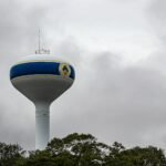 Fernandina