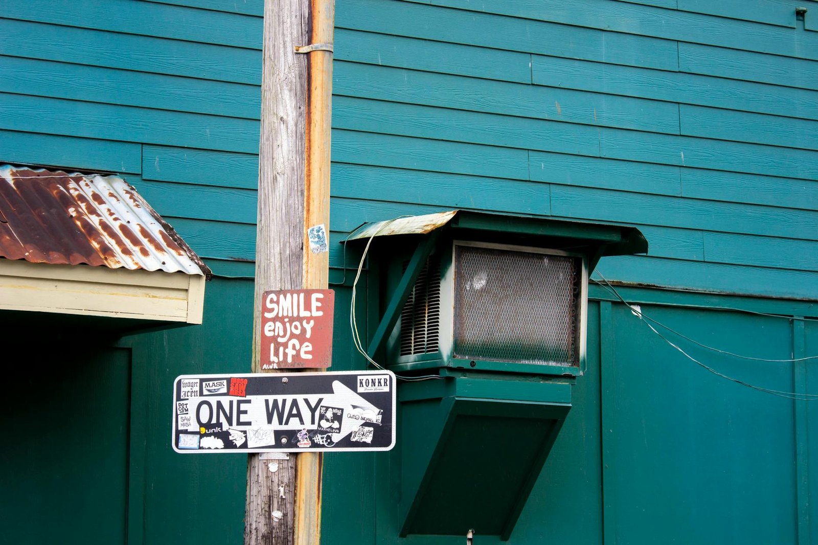 What Can You Actually Do in Hilo on a Cruise Day?