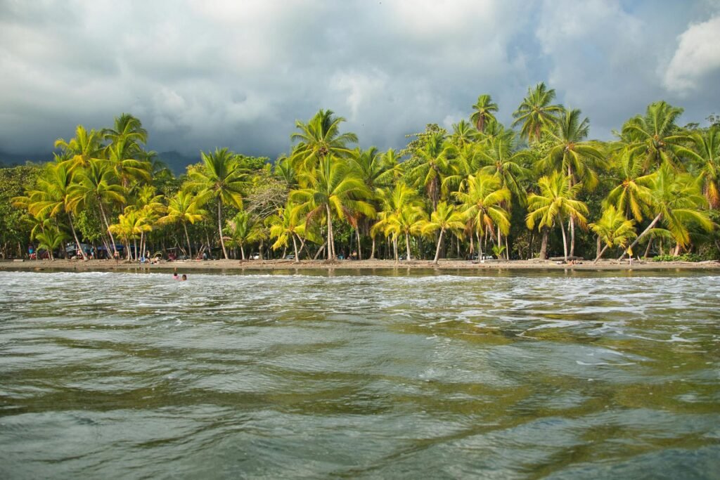 Tropical palm trees line the shoreline of Puerto Limón with turquoise water and stormy clouds overhead.
