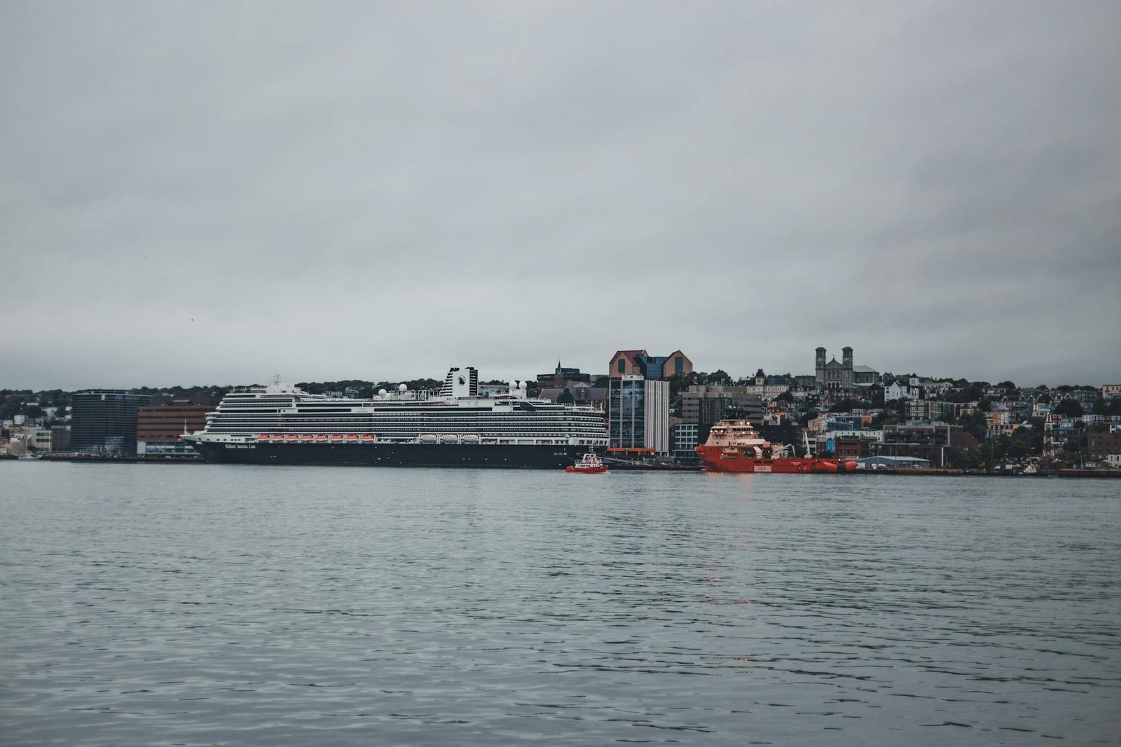 Wild, Colourful, and Utterly Unforgettable: St. John’s