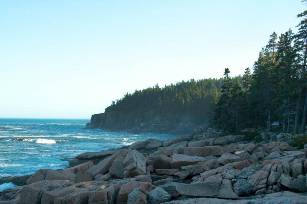 Rocky Maine coastline with coniferous forest and ocean waves crashing against boulders.
