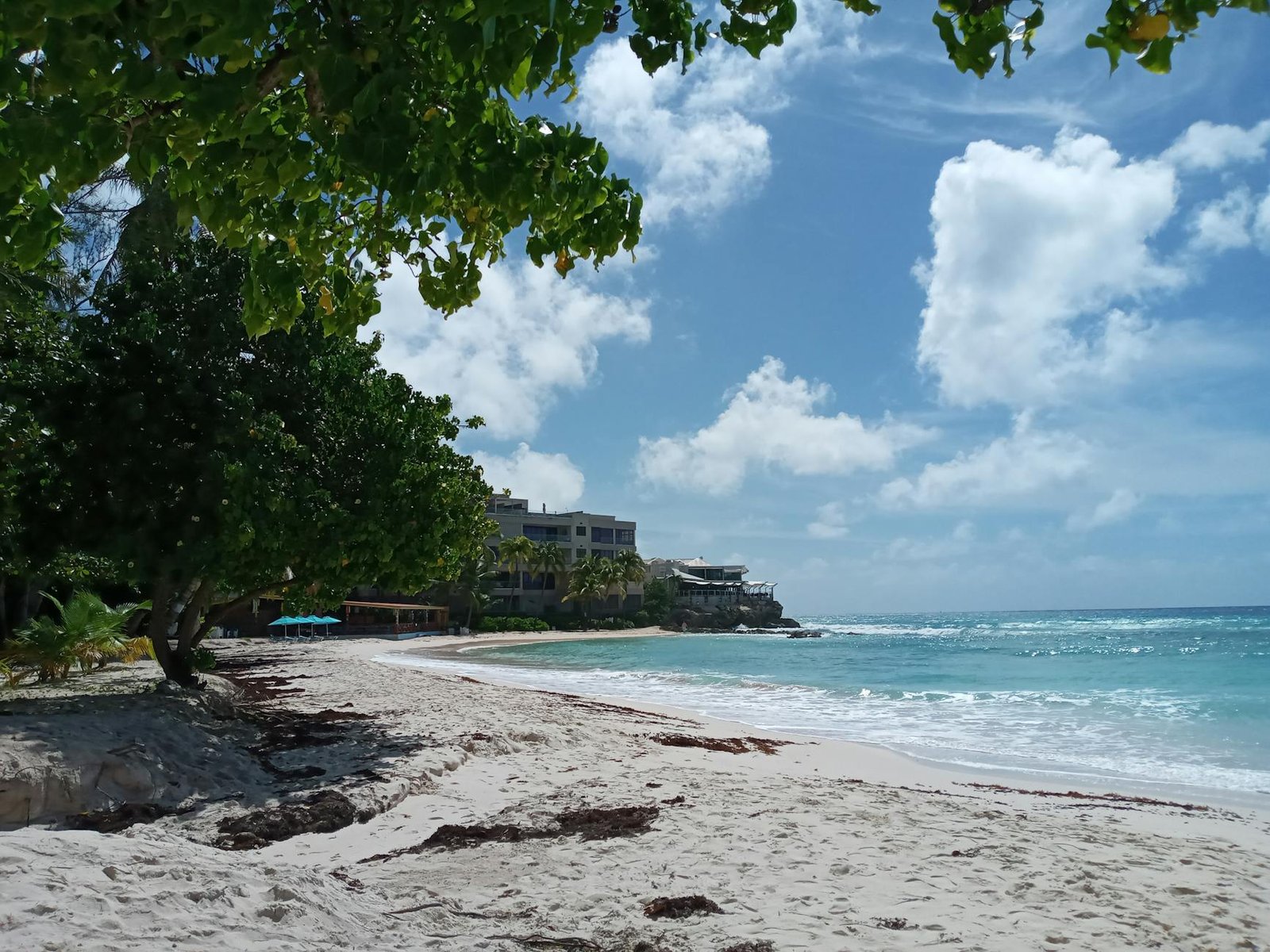 What Can You Really Do in Bridgetown, Barbados on a Cruise Day?
