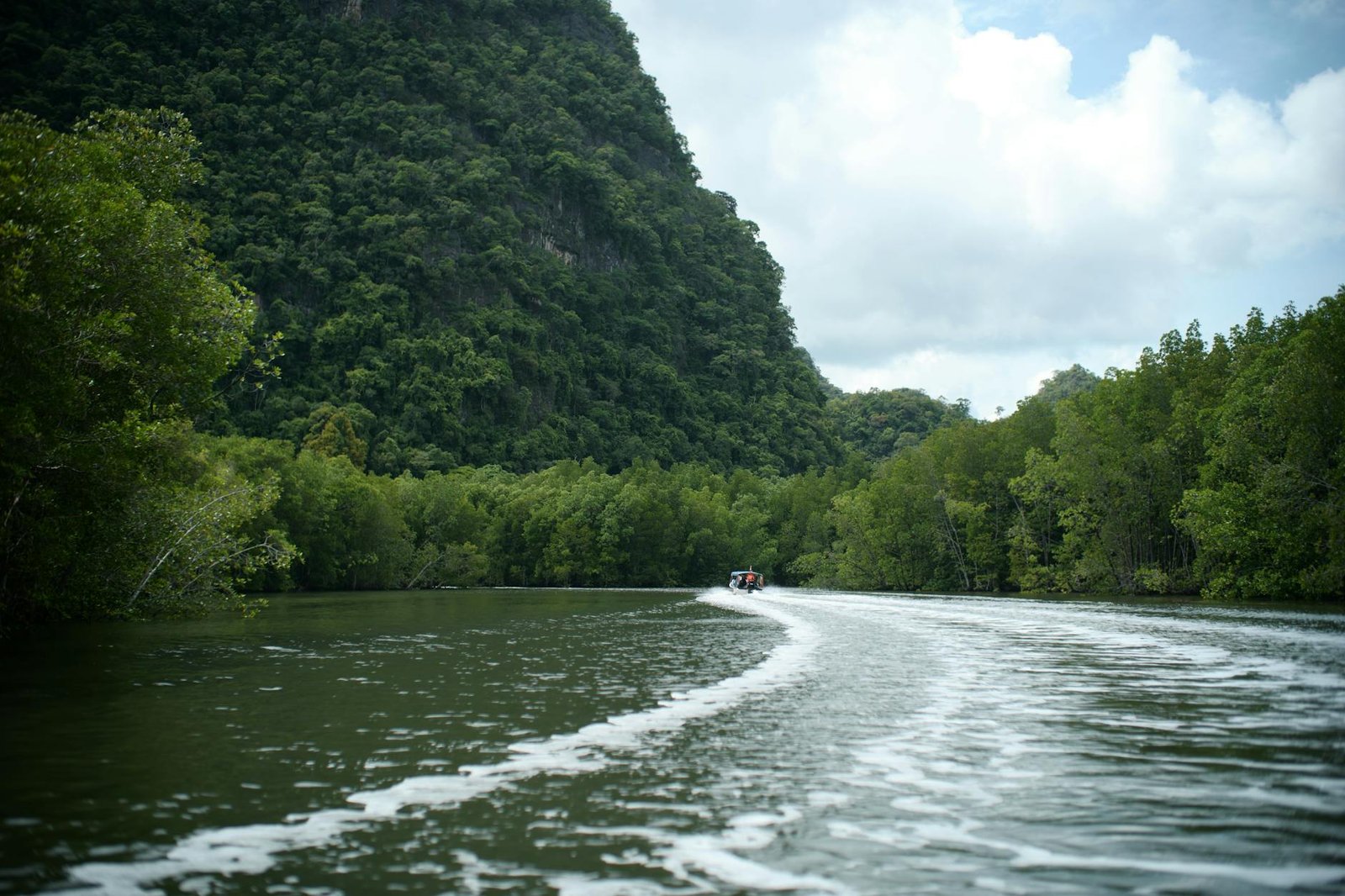 Drift Through Emerald Rainforests and Island-Hopping Waters in Langkawi, Malaysia