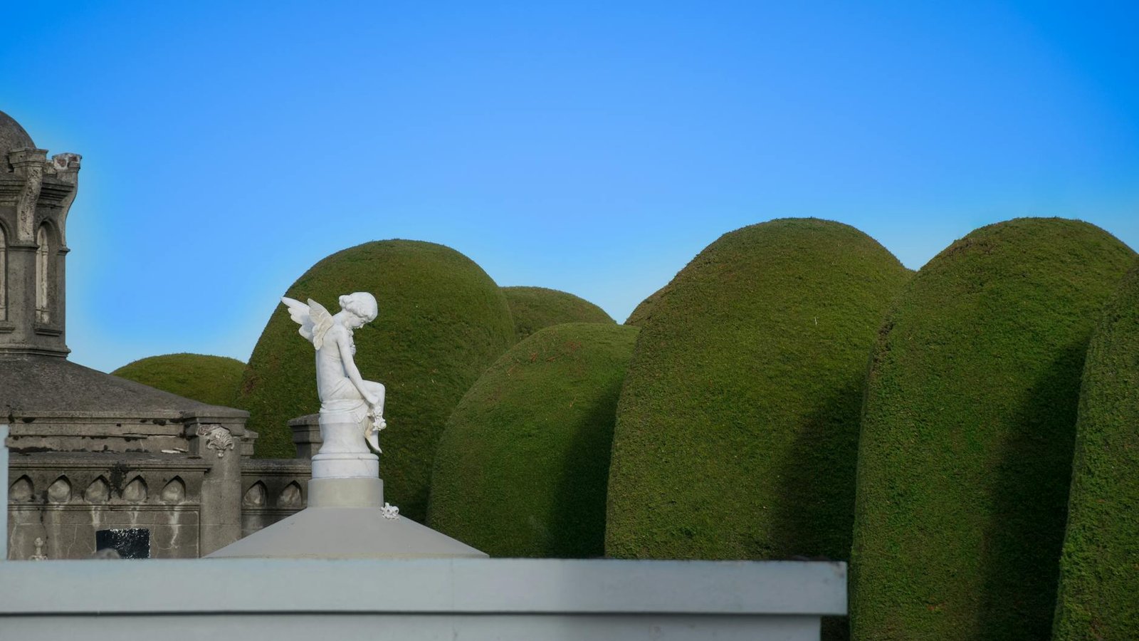 One Day in Punta Arenas: What to Do at the Edge of the World