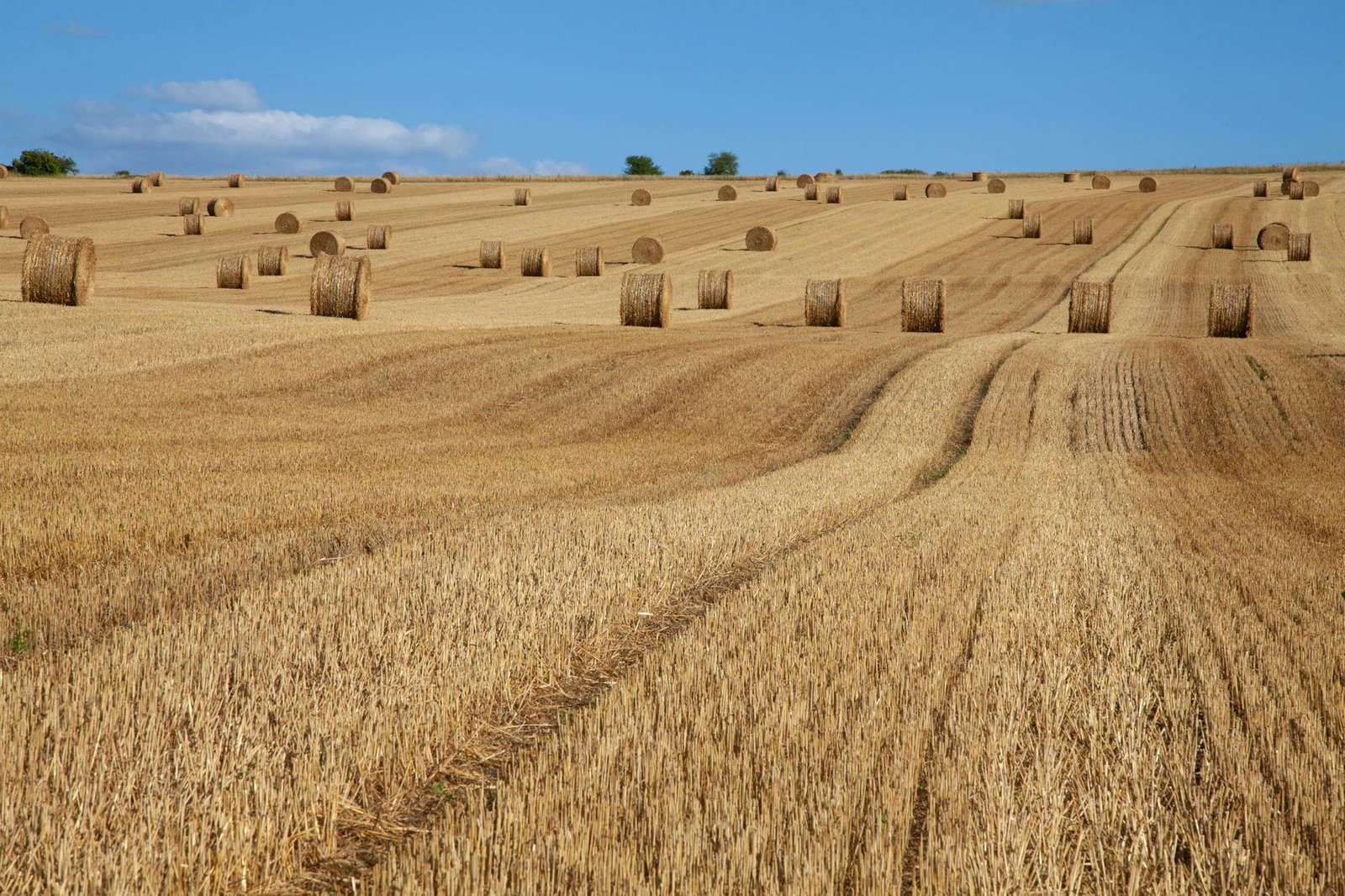How to Make the Most of a Day Ashore at Château de La Roche-Guyon