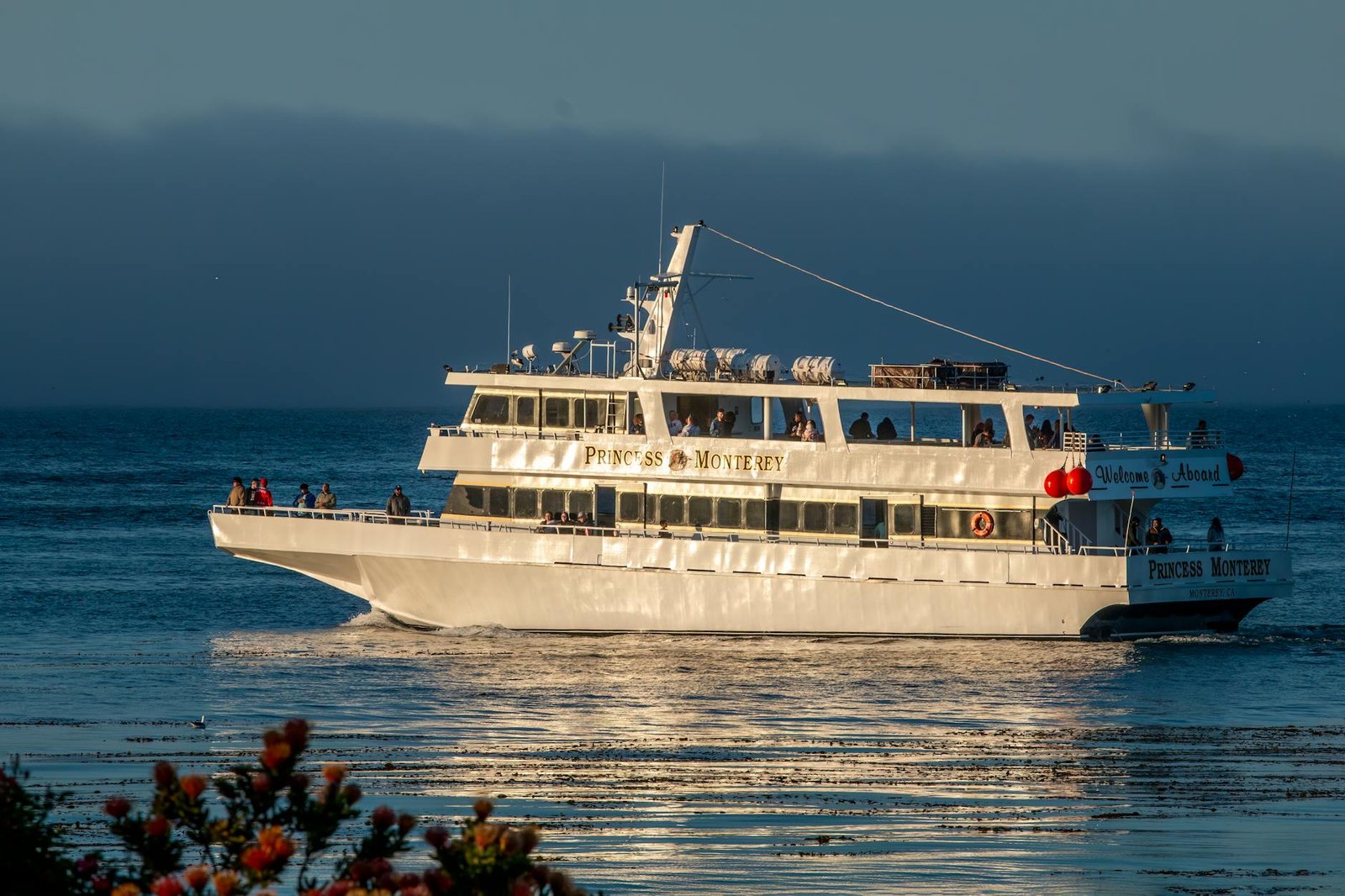 Explore Monterey Like a Local: Top Experiences, Food, and Tips for Cruise Visitors