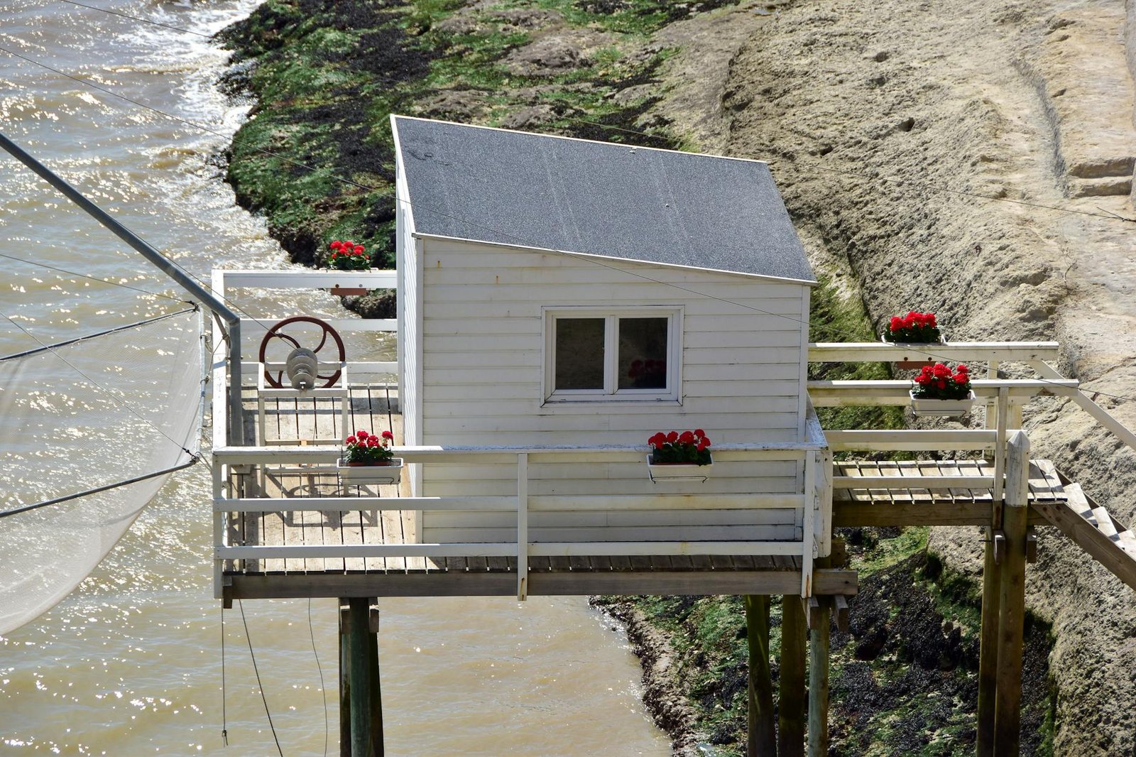 Cliffside Caves, Côtes de Bourg Wine, and the Medieval Village Most Cruisers Rush Past
