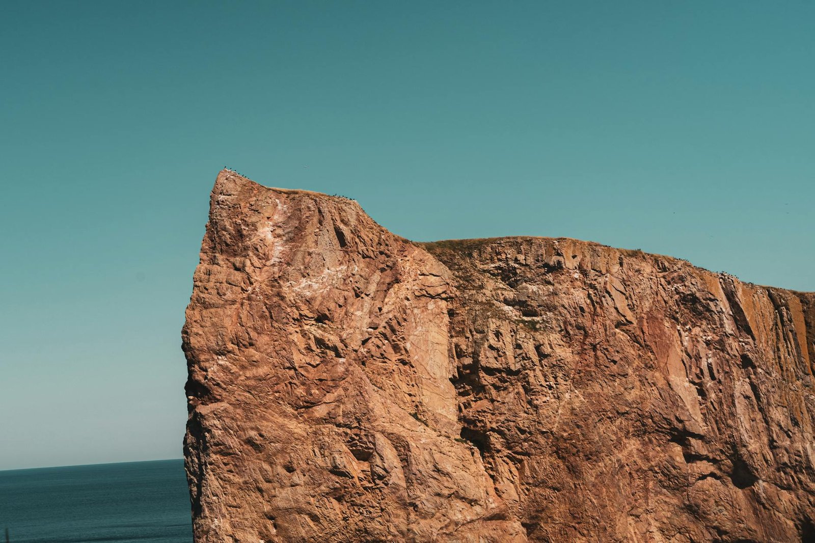 Percé Sits on Top of One of the World’s Most Accessible Marine Ecosystems