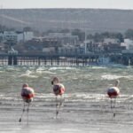 Puerto Madryn Argentina
