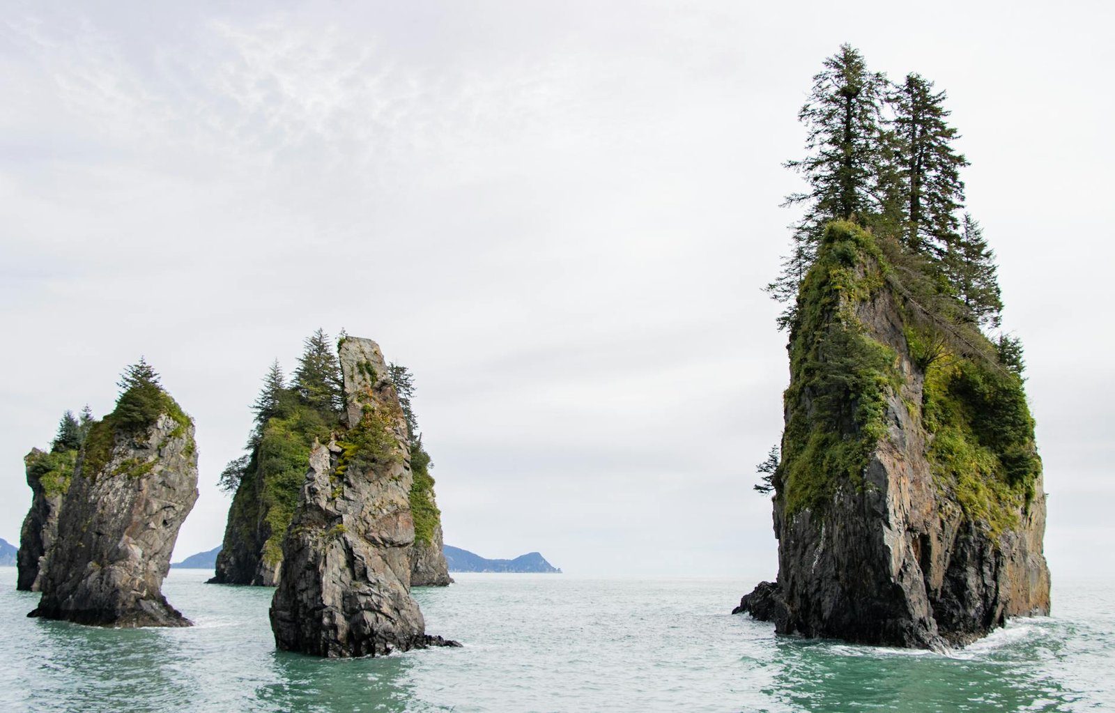 Step Off the Ship into Alaska’s Wildest Shoreline at Seward