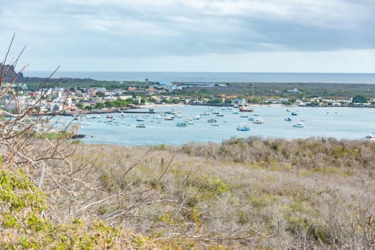Puerto Ayora Cruise Port Guide: Tender Tips, Things to Do & What to Expect
