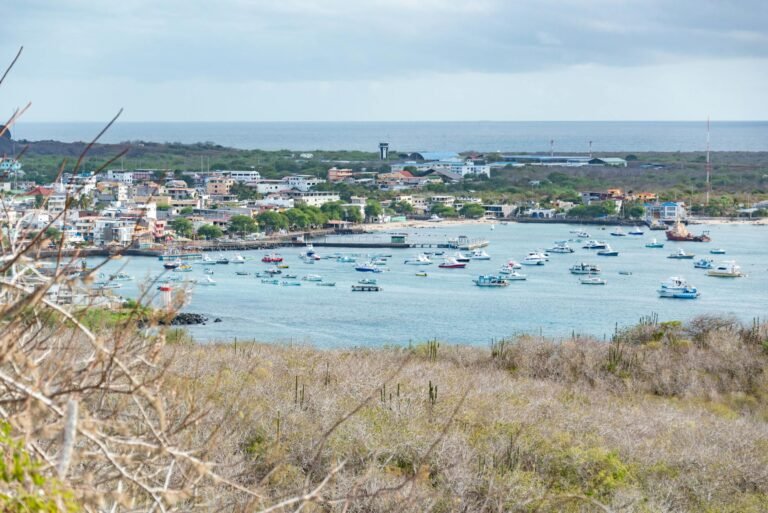 South Plaza Island Cruise Port Guide: Things to Do & Practical Tips