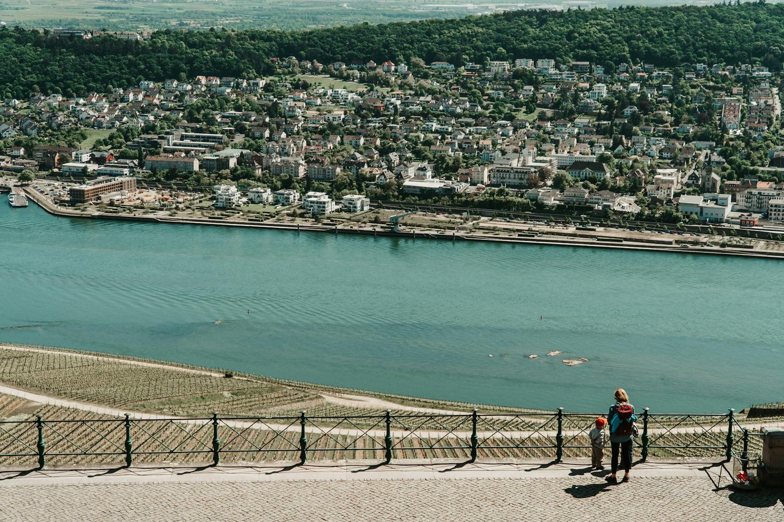 How to Make the Most of a Day Ashore in Rüdesheim am Rhein