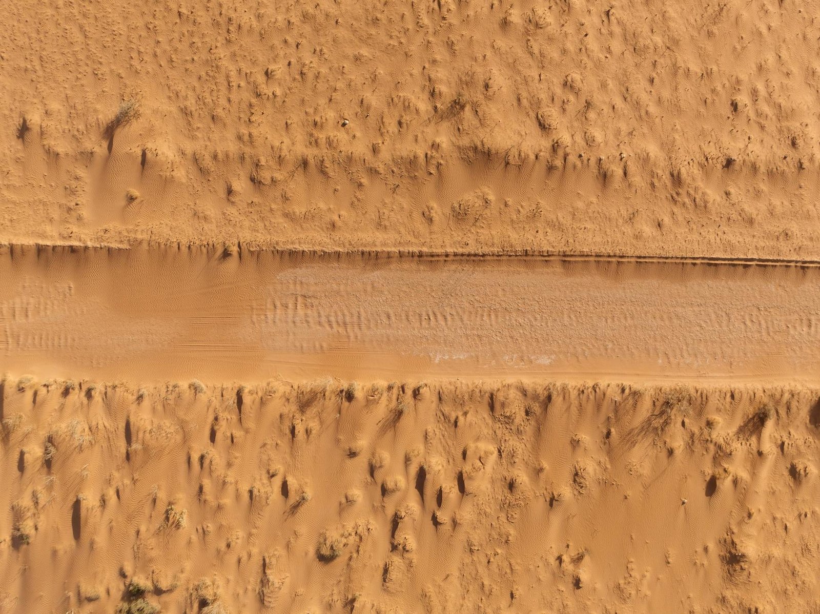 Expecting Desert, Finding Paradise: What Exmouth Actually Delivers