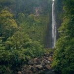 Basse-Terre, Guadeloupe